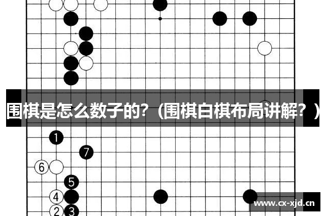 围棋是怎么数子的？(围棋白棋布局讲解？)